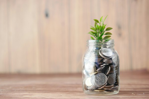 Glass jar of coins with a small green plant